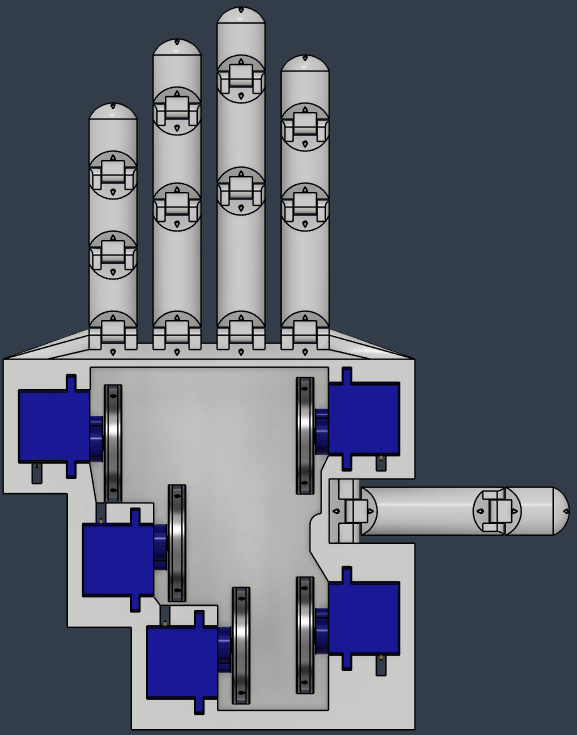 Top View of Robotic Hand